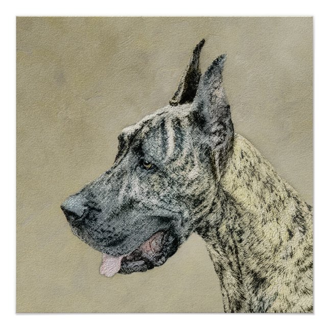 Poster Grande Danse (Brindle) Peinture - Art Chien origin (Devant)