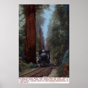Poster Grande gare d'arbre