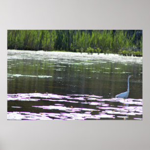 Poster Grande photo d'oiseau de héron