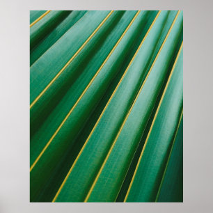 Poster Grandes plantes de texture verte