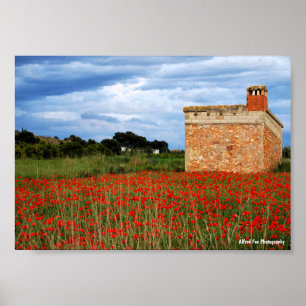 Poster Grange à la campagne dans un champ de coquelicots