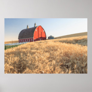 Poster Grange, champs de blé d'été près de Sprague, Est 1