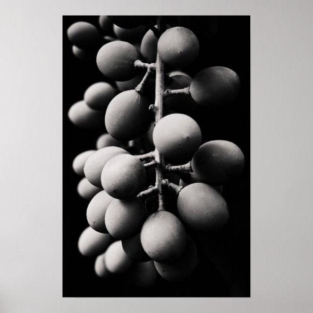 Poster graphes (Devant)
