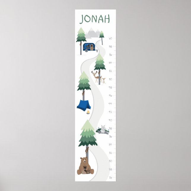 Poster Graphique de croissance des forêts et du camping (Devant)