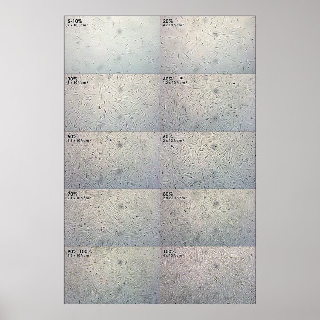 Poster Graphique de suivi de confluence (Devant)