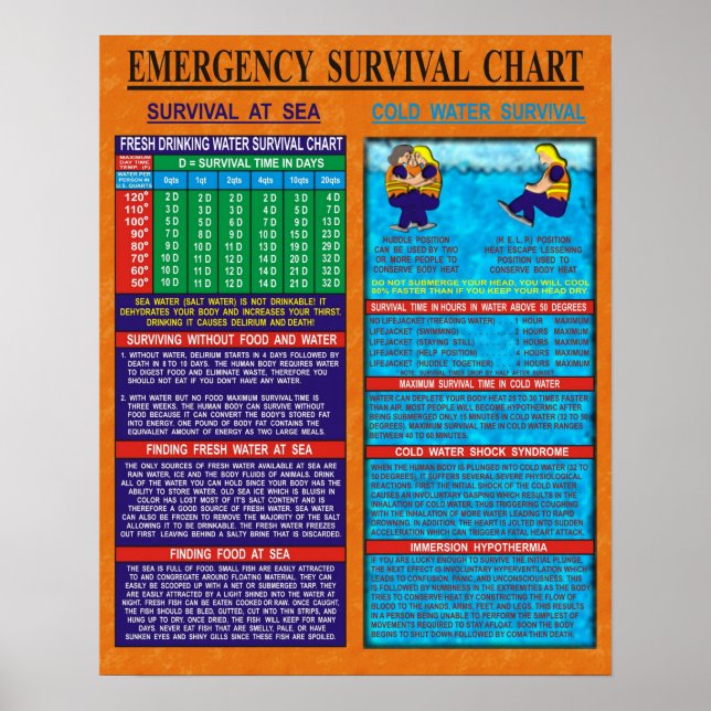 Poster Graphique de survie en cas d'urgence (Devant)