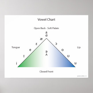 Poster Graphique de voyelles IPA