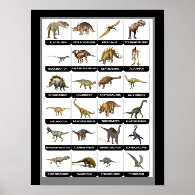 Poster Graphique des dinosaures (Devant)