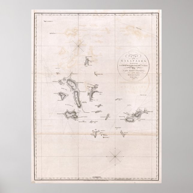 Poster Graphique des Galapagos de 1793 (Devant)