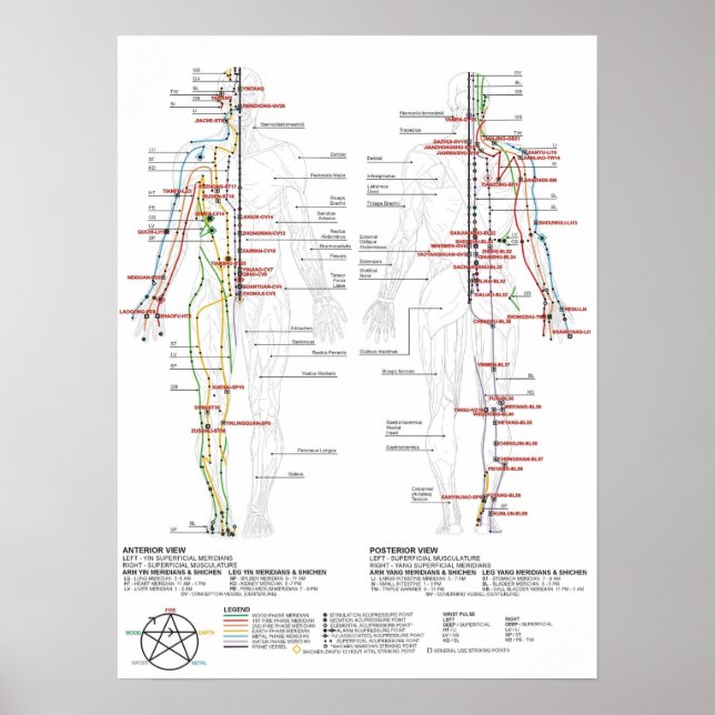 Poster Graphique des méridiens humains (Devant)