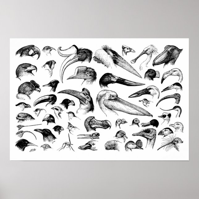 Poster Graphique des nomenclatures (Devant)
