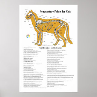 Poster Graphique des points d'acupuncture de l'acupunctur