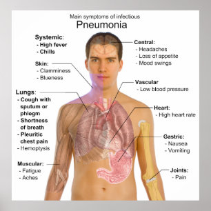 Poster Graphique des symptômes de la pneumonie