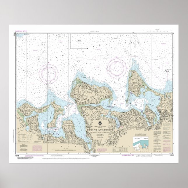 Poster Graphique marin des baies d'huîtres et de Huntingt (Devant)