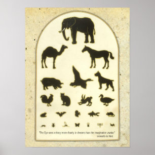 Poster Graphique Oeil animal ~ Citation Leonardo da Vinci