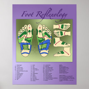 Poster Graphique Réflexologie du pied