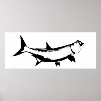 Poster Graphique Tarpon