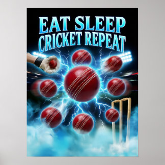 Poster Graphisme de cricket bootleg rétro