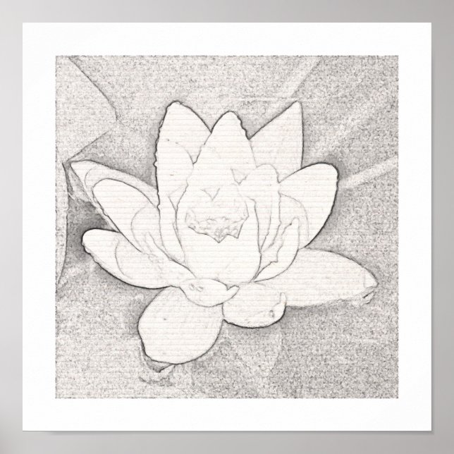 POSTER GRAPHITE LOTUS GRAPHITE (Devant)