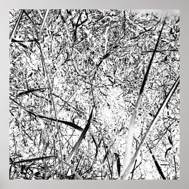 Poster Grass Alien blanc (Devant)