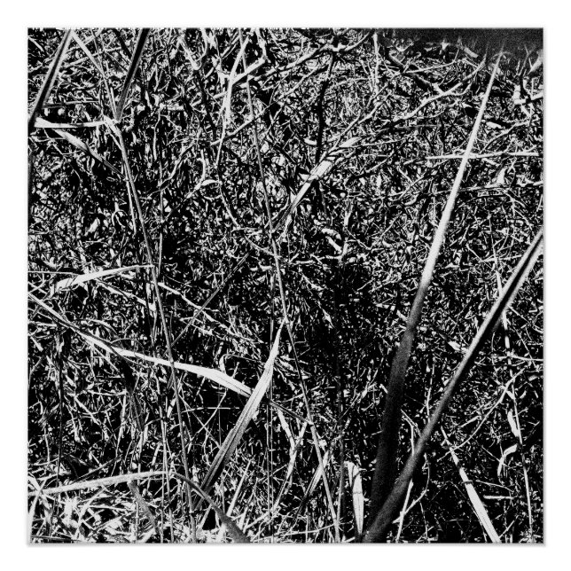 Poster Grass Alien noir (Devant)