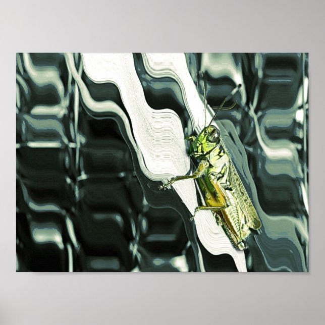 Poster Grasshopper sur Abstrait (Devant)