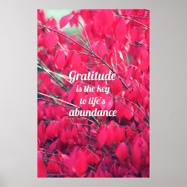 Poster Gratitude (Devant)
