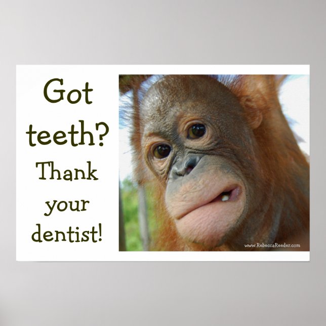 Poster Gratitude Drôle (Devant)