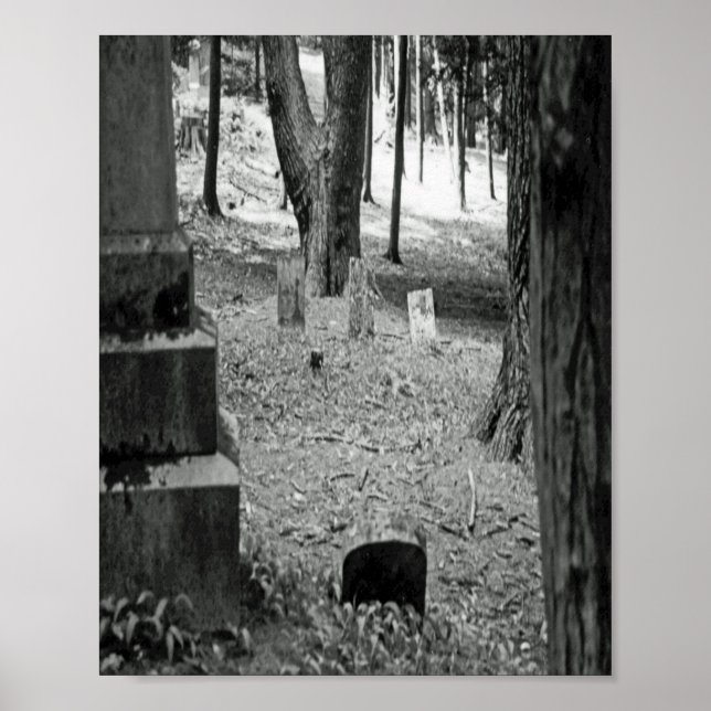 Poster Grave oubliée (Devant)