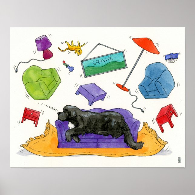 Poster Gravité - Gravité (Devant)