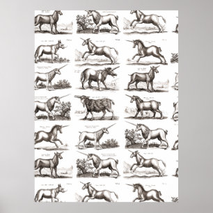 Poster Gravure de licorne antique Spécimen de zoologie vi