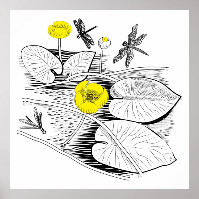 Poster Gravure de nénuphars (Devant)