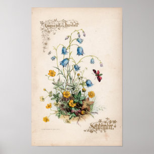 Poster Gravures botaniques, septembre
