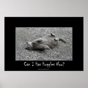 Poster Gray Cat Drôle Huggings