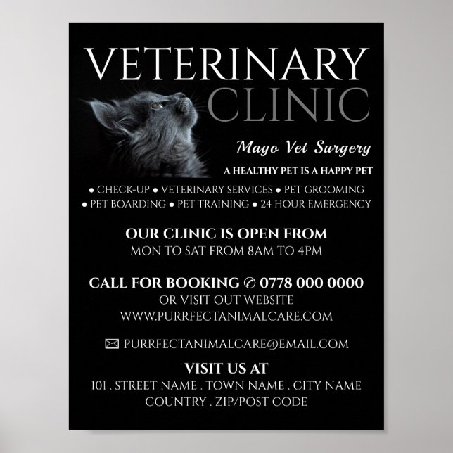 Poster Gray Cat, Vétérinaire, Service vétérinaire Advert (Devant)