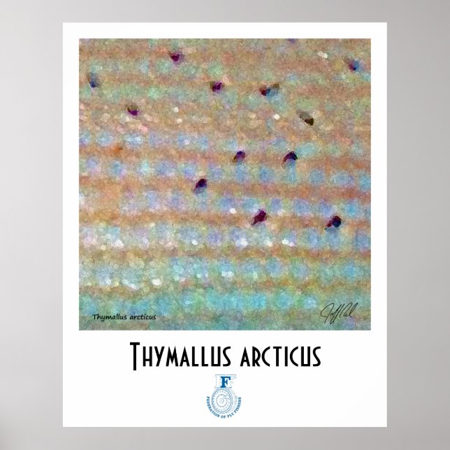 Poster Graying FFF (Devant)