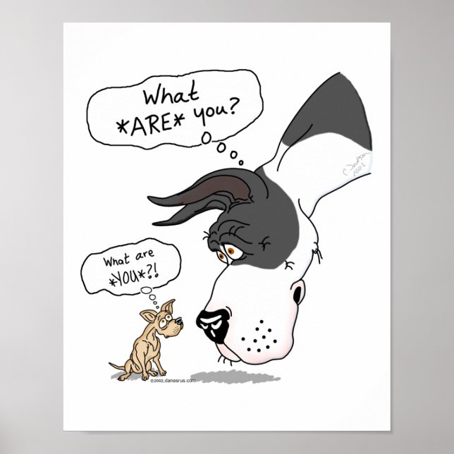 Poster Great Dane & Chihuahua Mantle (Devant)