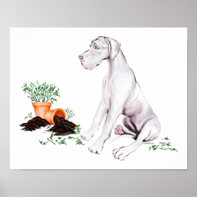 Poster Great Dane Naughty Pup White UC (Devant)
