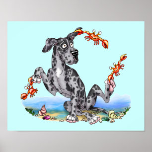 Poster Great dane plutôt Merle désagréable UC