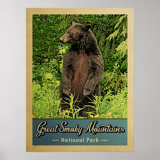 Poster Great Smoky Mountains Parc national Ours (Devant)