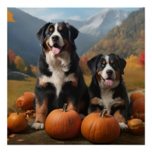 Poster Greater Swiss Mountain Pup Délice d'Automne Citrou