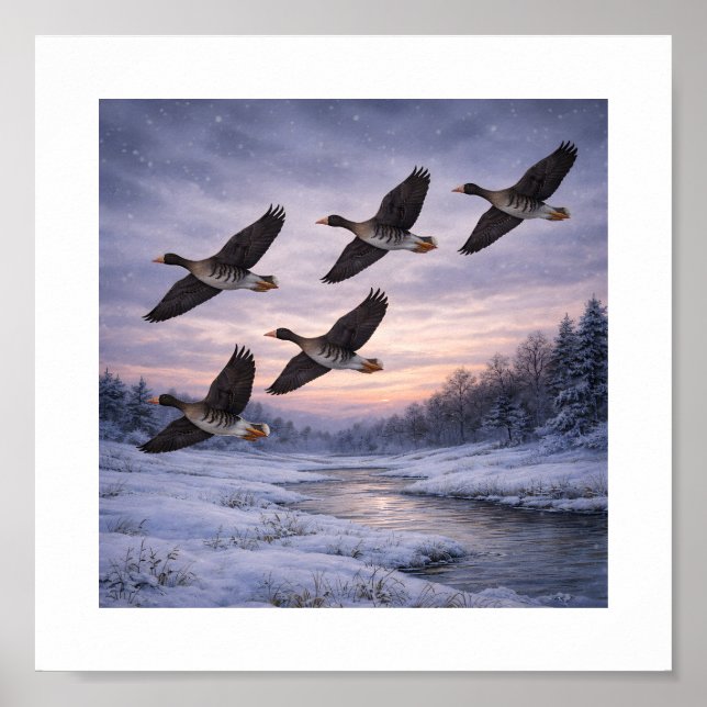 Poster Greater White-fronted Geese in Winter –  (Devant)