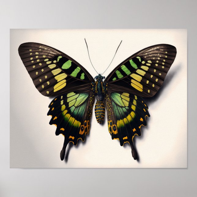 Poster Green Goliath Birdwing Papillon Art Imprimer Poste (Devant)