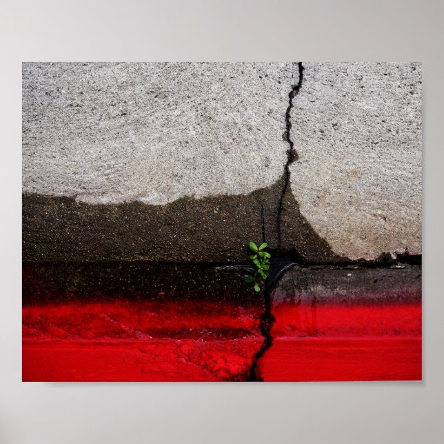 Poster Green leaf (Devant)