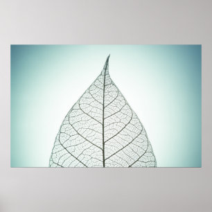 Poster Green Leaf Skeleton