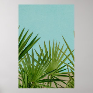Poster Green palm plant near body of water