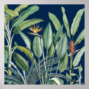 Poster Green Tropical Jungle Banana Tree Strelitzia