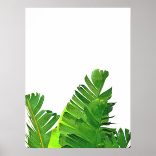 Poster Green Tropical Palm Banana Feuilles