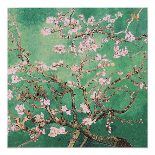 Poster Green Van Gogh Almond Blossoms (Devant)