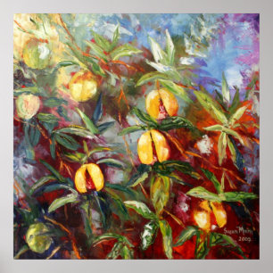 Poster Grenada Nutmeg